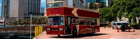 Autobús turístico en el artículo cosas para hacer