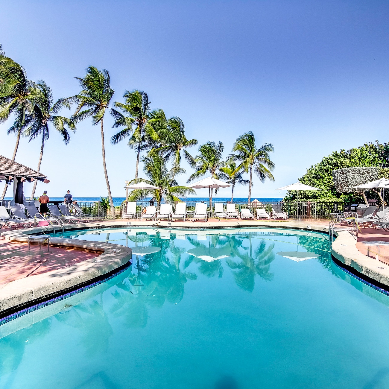 Piscina en The Alexander